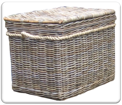 trunk grey rattan